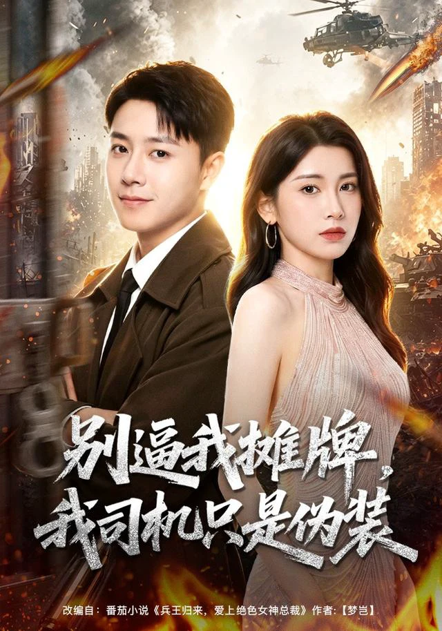 别逼我摊牌，我司机只是伪装（1080P）