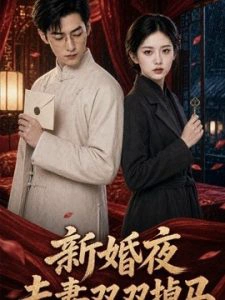 新婚夜，夫妻双双掉马