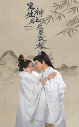 重生后神医王妃要改嫁