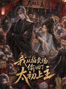 我从拍卖场偷回了太初上主