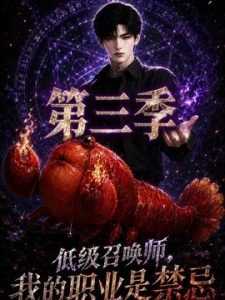 低级召唤师，我的职业是禁忌第三季