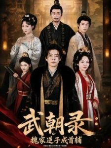 武朝录：魏家逆子成首辅