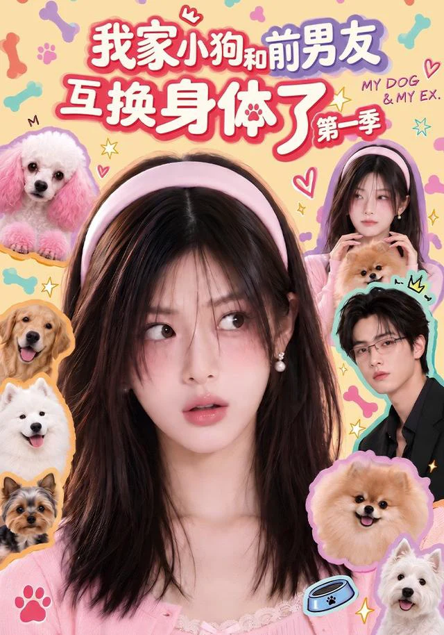 我家小狗和前男友互换身体了第一季