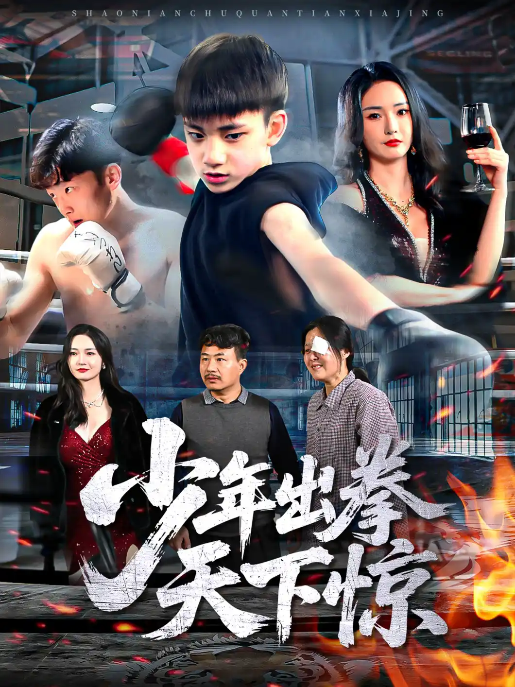 少年出拳天下惊