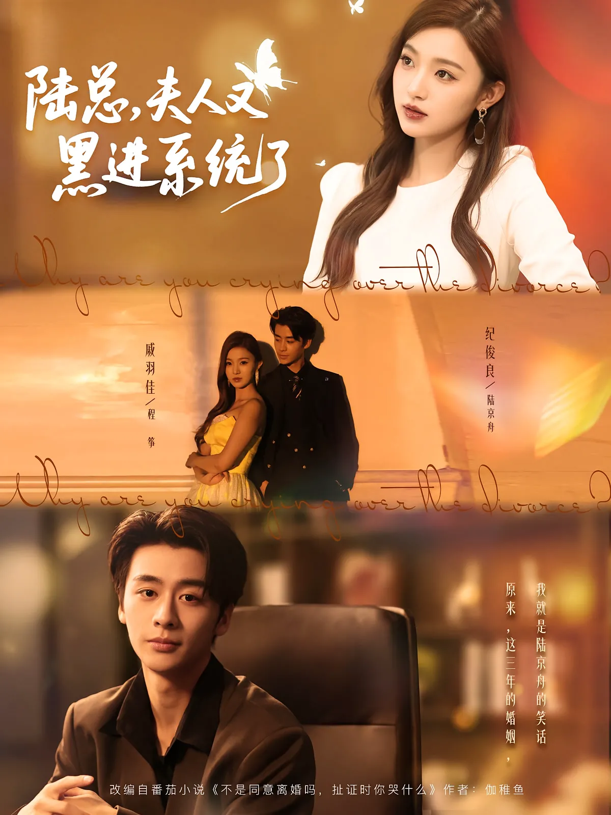 陆总，夫人又黑进系统了&陆总夫人又黑进系统了