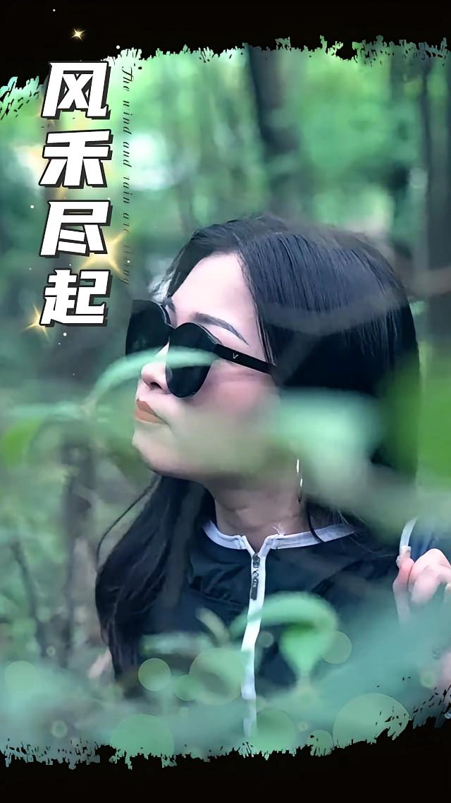 风禾尽起