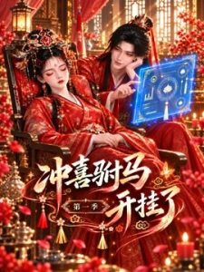 冲喜驸马开挂了第一季