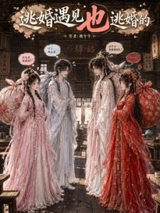 逃婚遇见也逃婚的