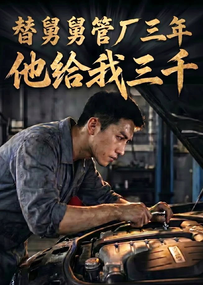替舅舅管厂三年他给我三千