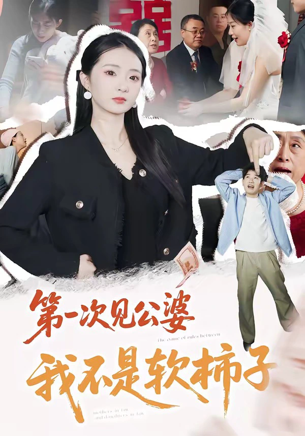 第一次见公婆，我不是软柿子