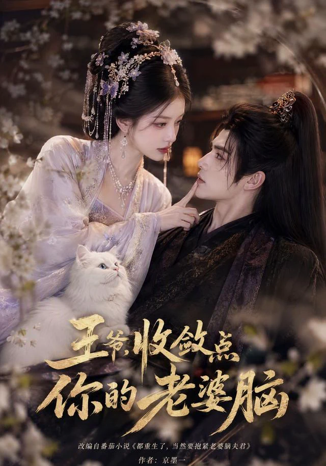 王爷，收敛点你的老婆脑