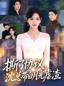 撕了协议，沈总带白月光虐渣
