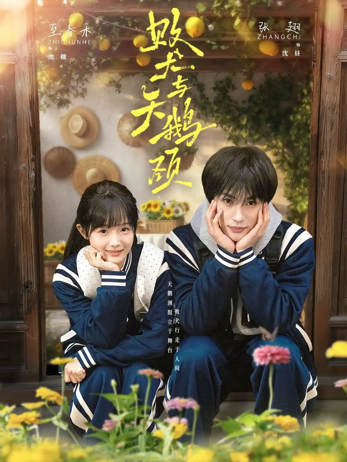 05月03日丨短剧更新42部