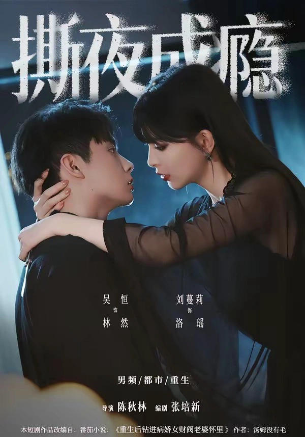 糙汉娘子的状元夫君