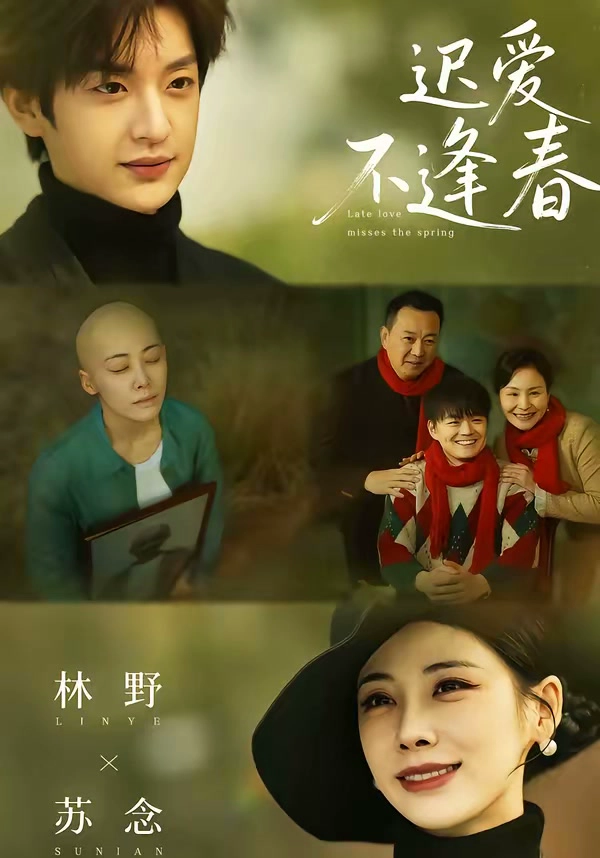 迟爱不逢春