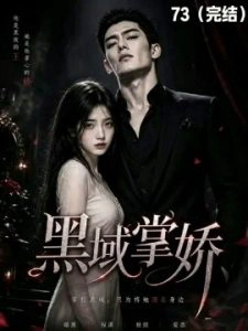 《黑域掌娇》完结AI短剧