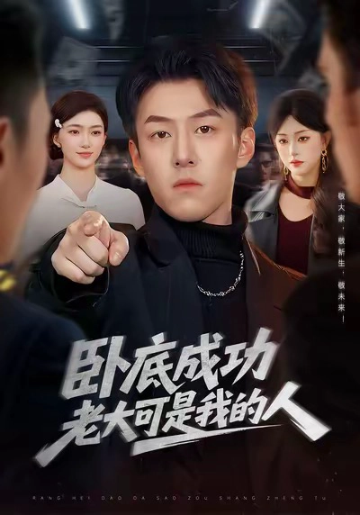 卧底成功老大可是我的人
