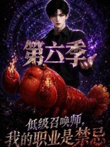 低级召唤师，我的职业是禁忌第六季