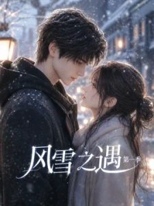风雪之遇第一季